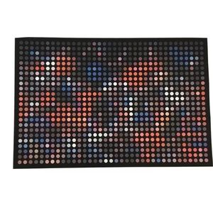 Tim Luan Roar of the Crowd Art Print University of Florida Signed and Numbered